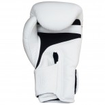 Боксерские перчатки Top King (TKBGSA-white)